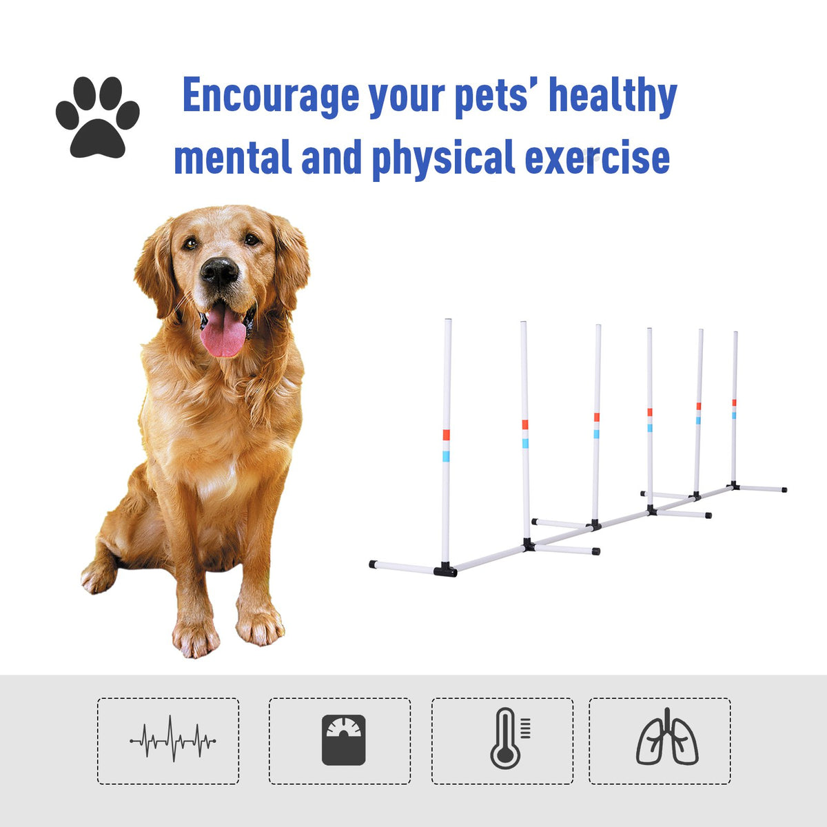 Dog Agility Poles Set - Outdoor Weave Poles for Training & Play, Includes Storage Bag