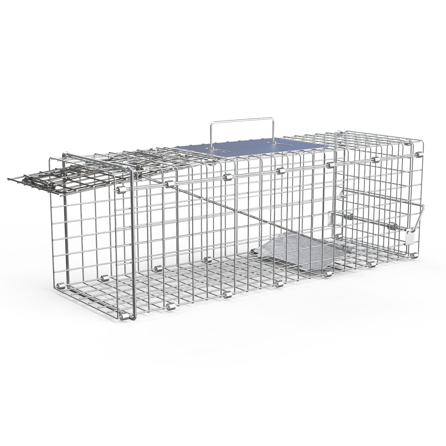 Humane Live Animal Trap Cage - Collapsible Wire for Small Animals