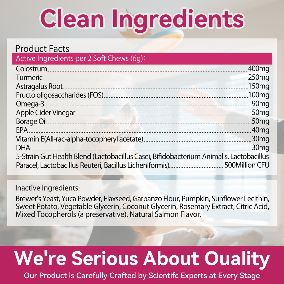 Pet Anti-Allergy Chewable Tablets