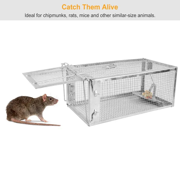 Humane Live Rodent Trap Cage - 2 Pack Galvanized Steel