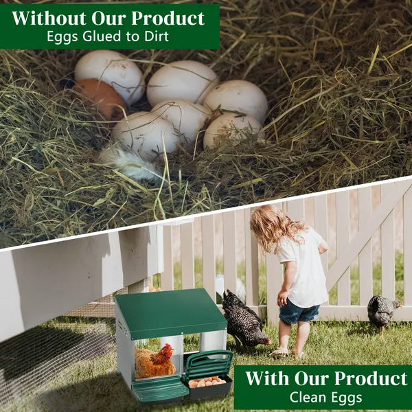 2-Compartment Chicken Nesting Box with Plastic Egg Tray - Green