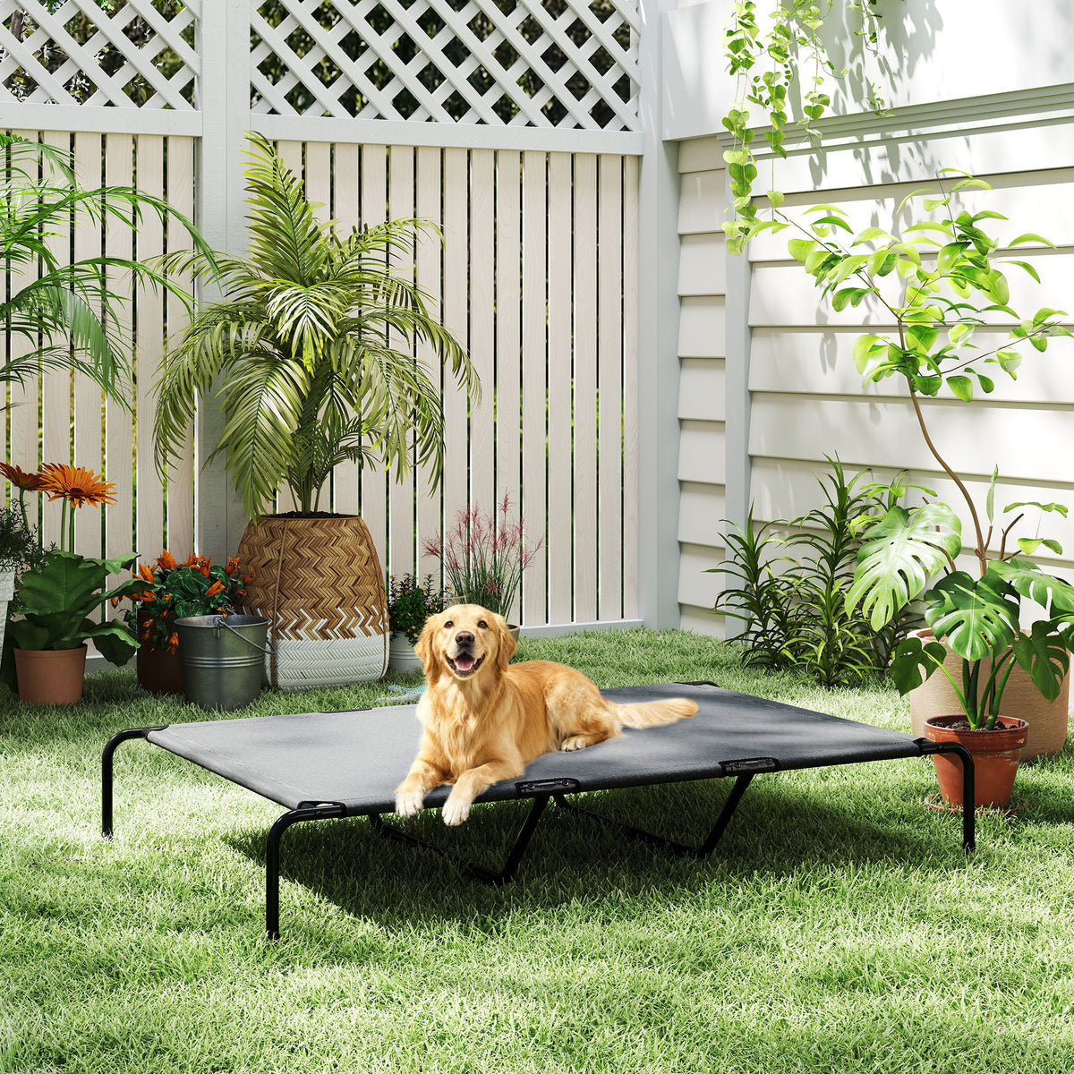 Elevated Large Dog Bed 60 Inch Gray Support Mesh Comfort Indoor Outdoor