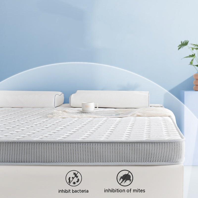 Memory Foam Mattress Topper 10cm Thick Waterproof Bed Cushion Bedding