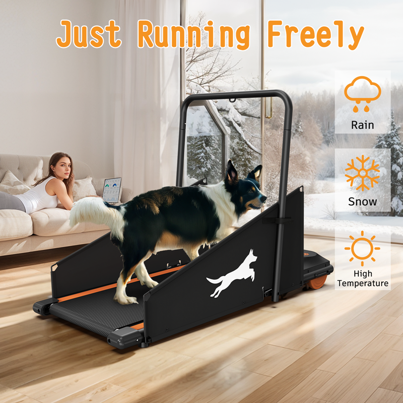 Dog Treadmill for Small & Medium Dogs - Foldable Pet Fitness Trainer