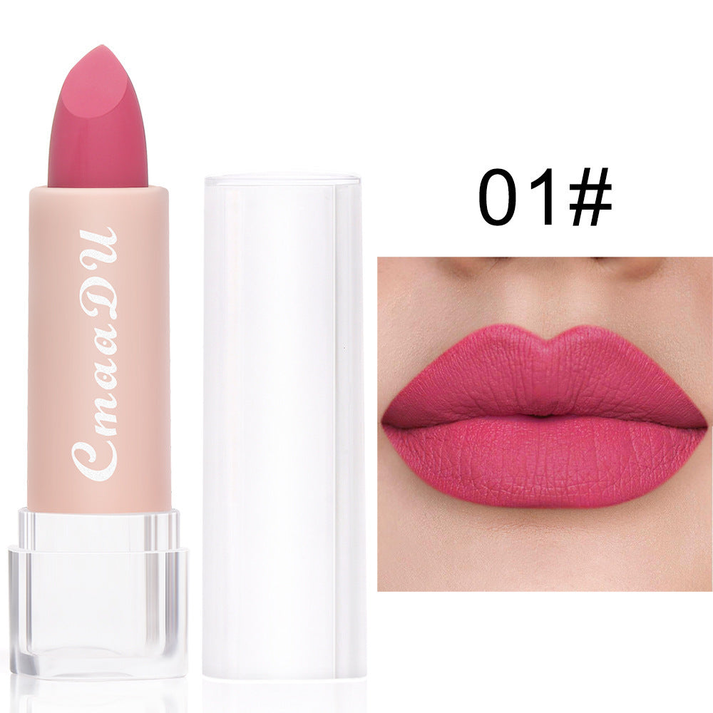 Matte Moisturizing Waterproof Lipstick - Color Variety, 15 Shades