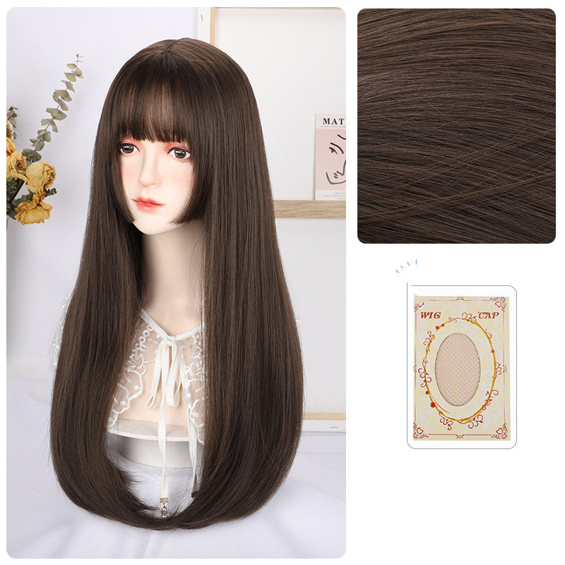 Long Straight Synthetic Wig - 60cm Hair Net