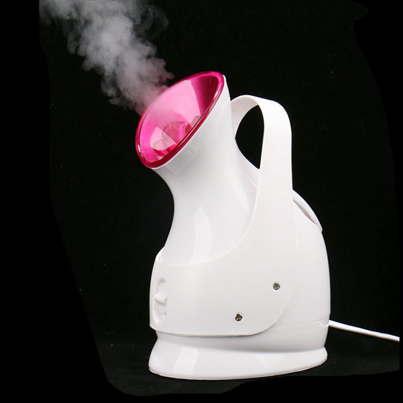 Nano Ion Facial Steaming Device with Thermal Spray and Dual Gears - Beauty & Skin Care Tool