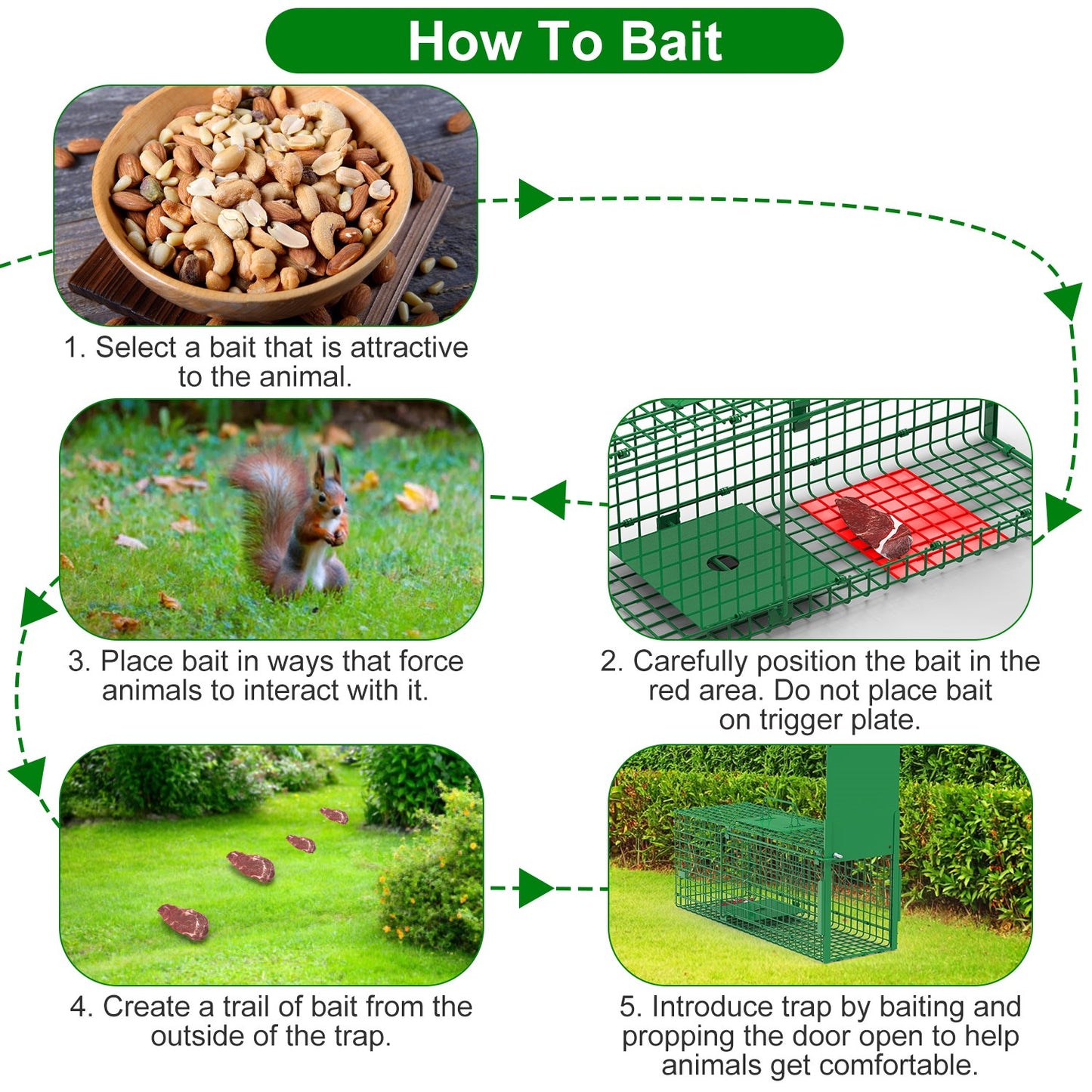 Humane Live Animal Cage Trap - Galvanized Iron, Multiple Sizes
