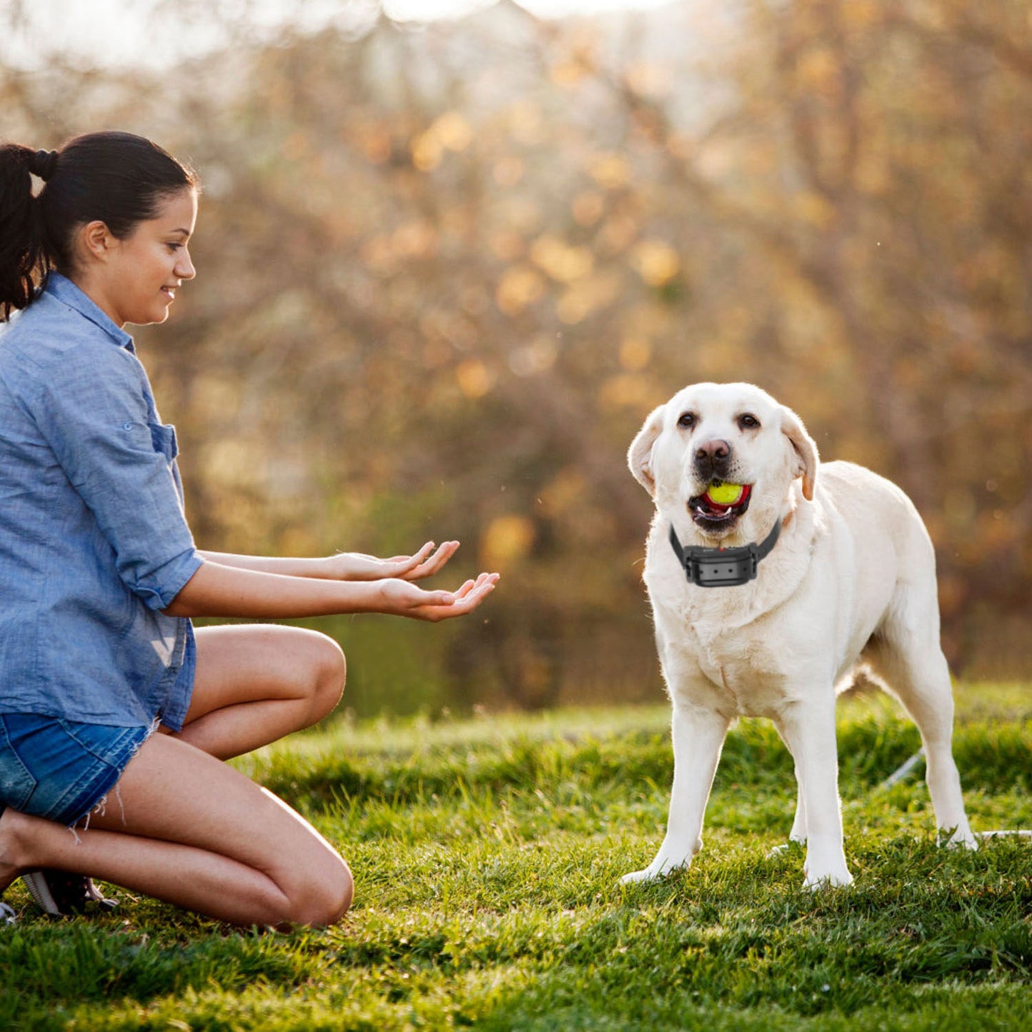 Wireless Dog Fence System with GPS Collar - Rechargeable & Adjustable Range