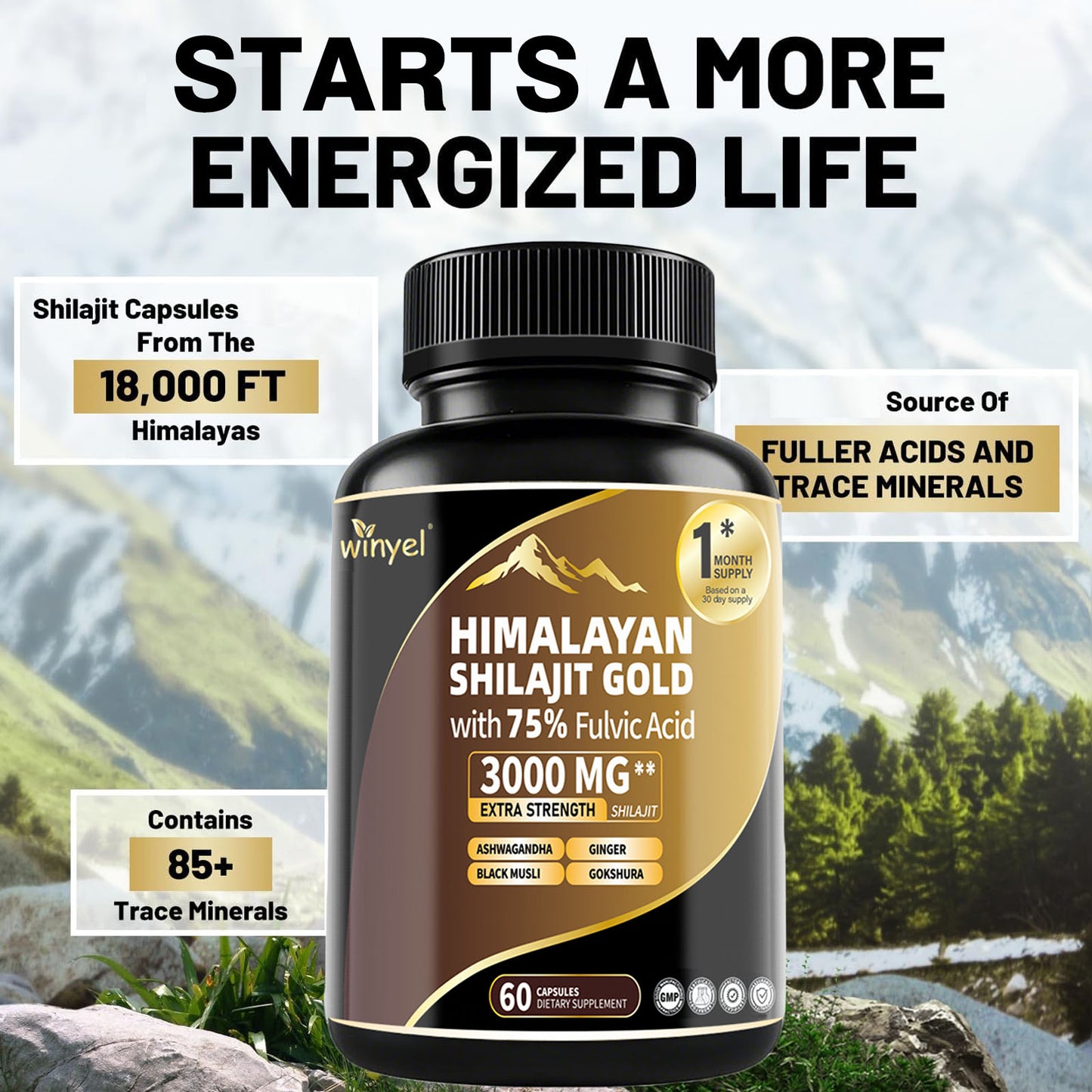 Himalayan Shilajit Capsules with Ashwagandha & Gokshura - 60 Capsules