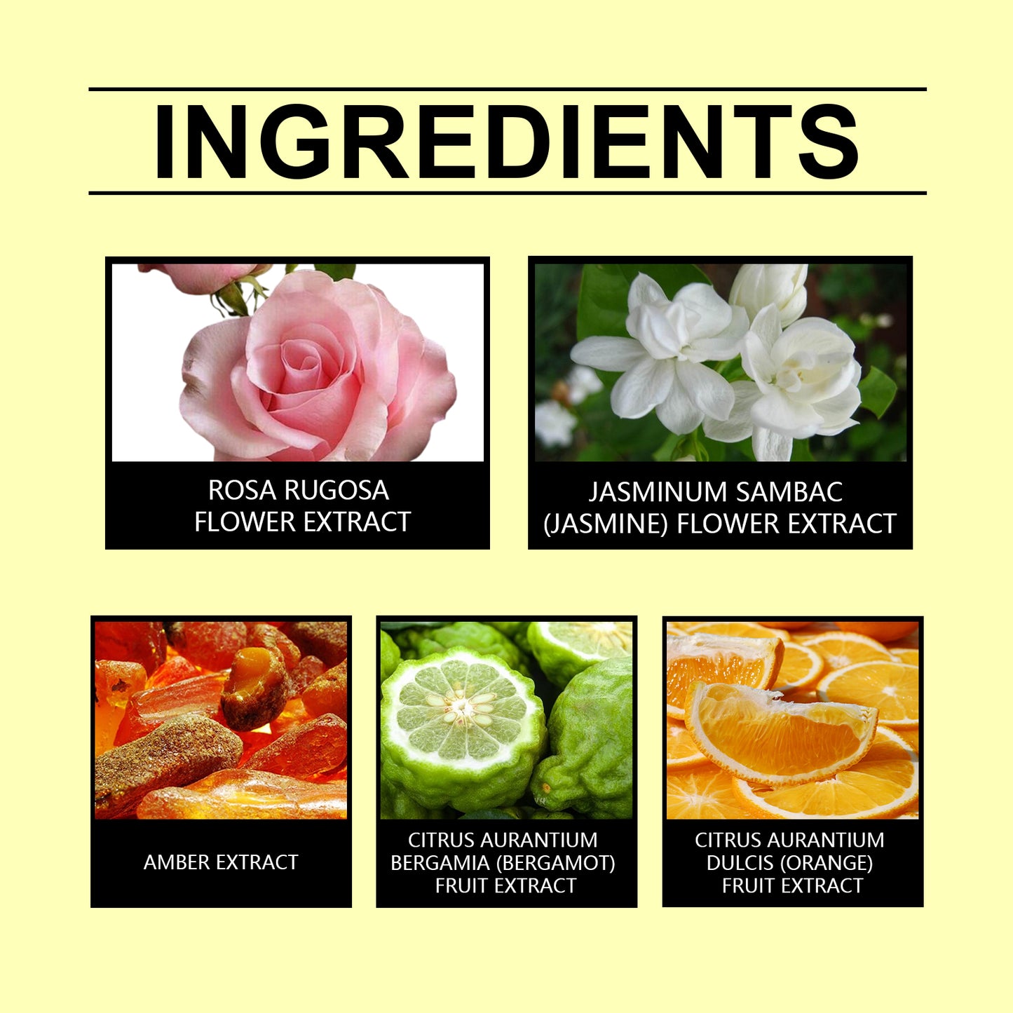 Floral Amber Perfume Spray - Long Lasting Portable Fragrance 10ml