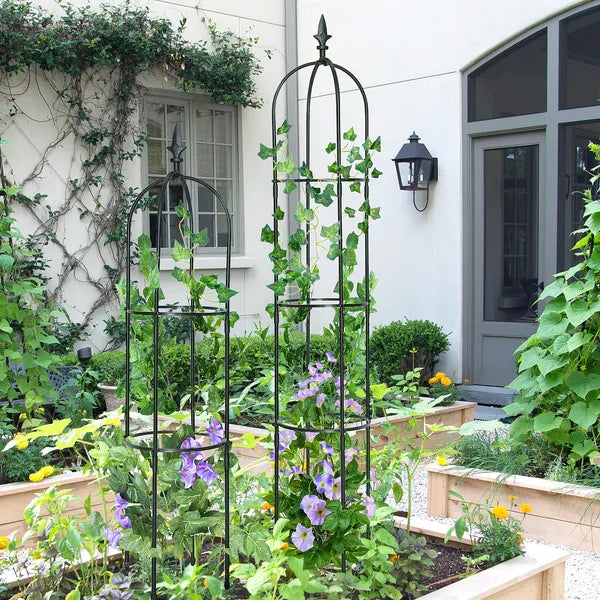 6.2ft Garden Obelisk Trellis for Climbing Plants, Vines & Flowers - Black
