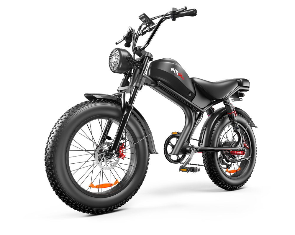20 Inch Electric Bike - 1000W Motor, 48V Battery, Fat Tires