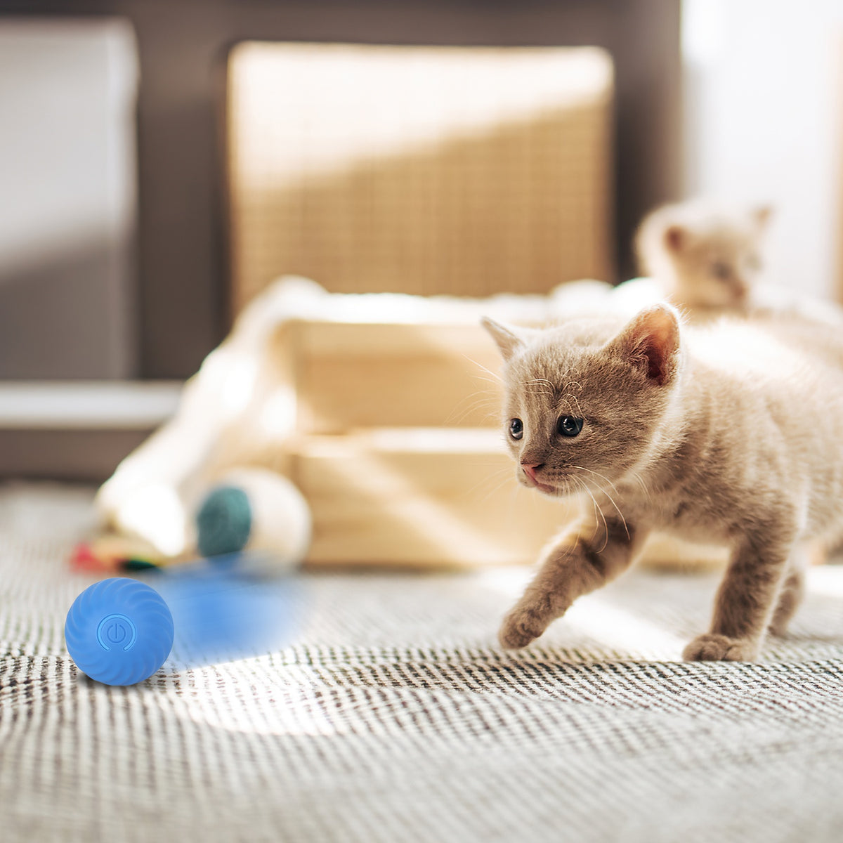 Interactive Cat Toy Ball with Rechargeable Motion Activation for Indoor Cats