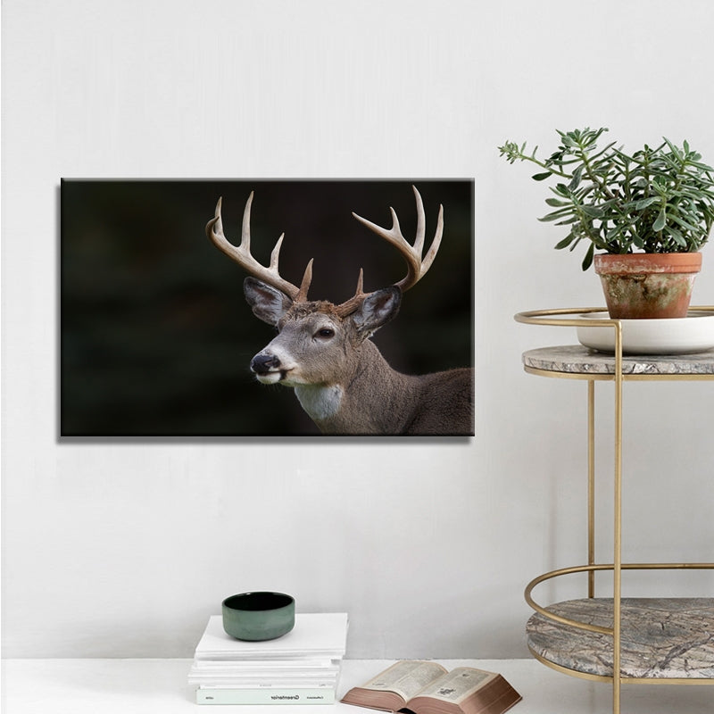Wildlife Deer Canvas Painting - Home Wall Art for Living Room or Bedroom