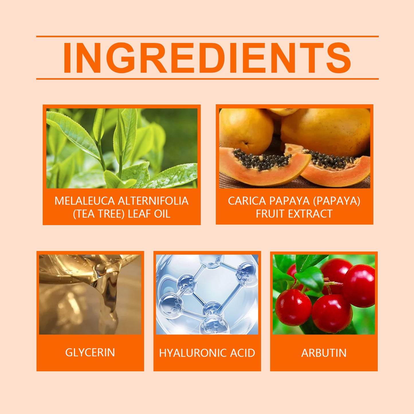 Papaya Face Wash - Gentle Moisturizing & Hydrating Facial Cleanser 100ml