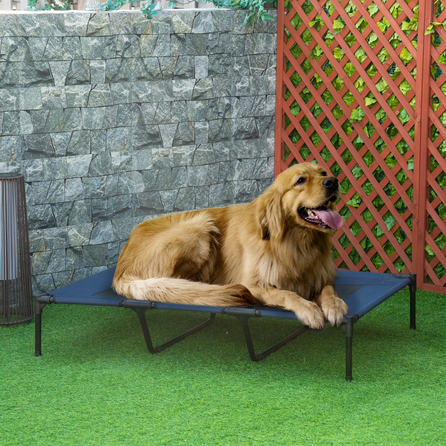 Elevated Dog Bed 48x36 Inches with Breathable Mesh & Carry Bag - Dark Blue