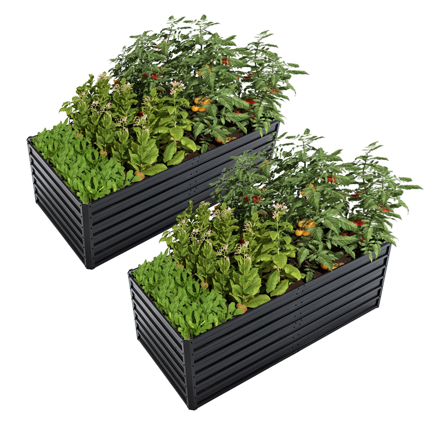 2-Pack 6x3x2 FT Galvanized Metal Raised Garden Beds, Reinforced