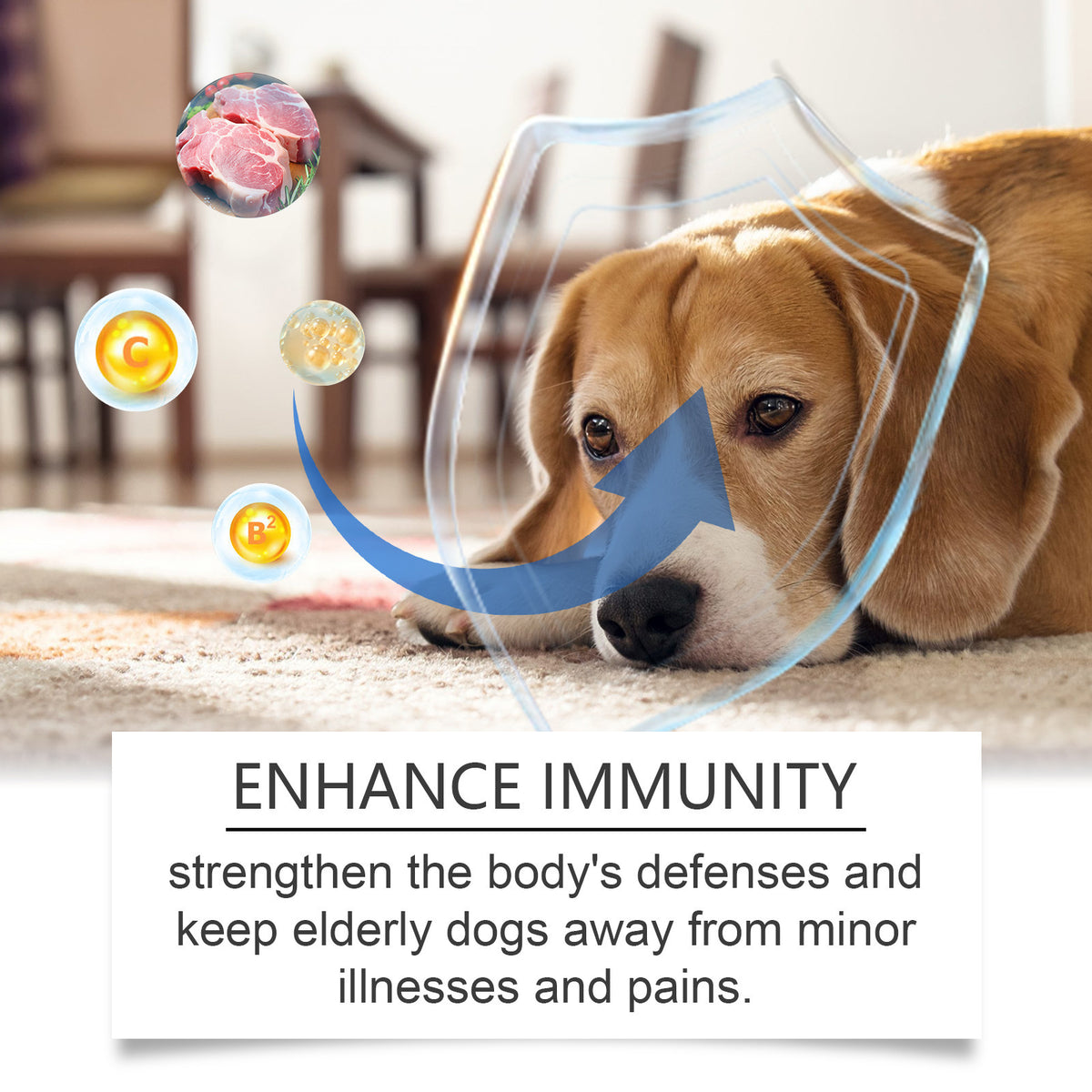 Care Older Dog Calcium Tablets Supplement Nutrition Pet