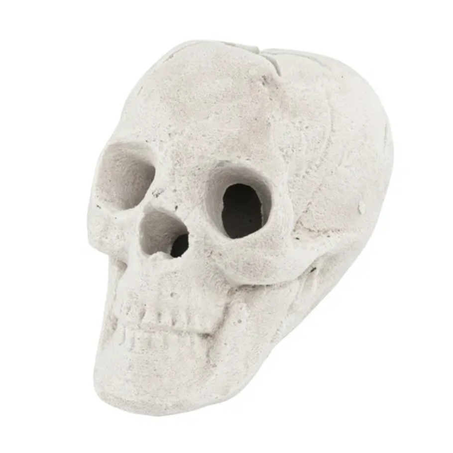 Realistic Human Skull Fire Pit Decoration - Halloween Decor