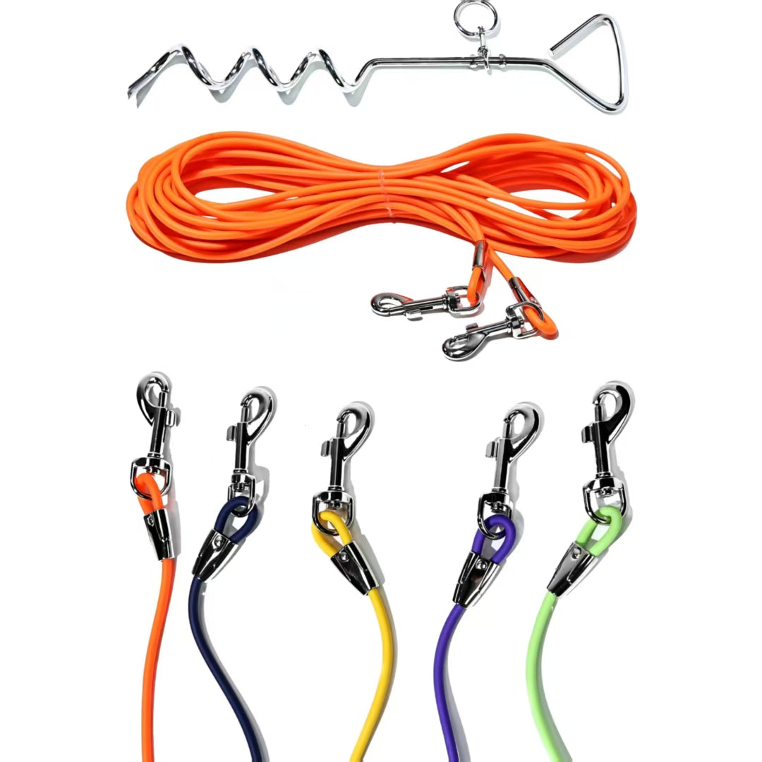 Ground Stake Fixed Dog Leash with 30ft Range for Outdoor Walking and Training