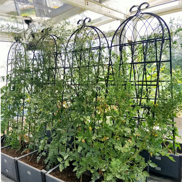 Metal Garden Trellis - 71" x 19.7" Rustproof Support for Climbing Plants