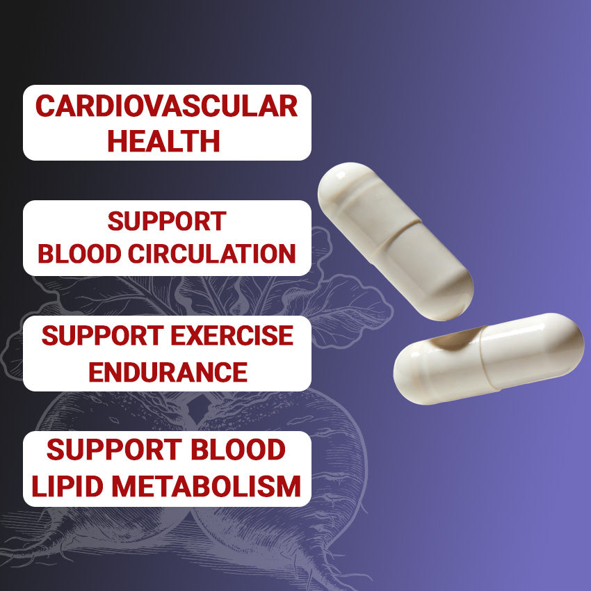 Nitric Oxide Supplement - L-Arginine & L-Citrulline Complex, 60 Capsules