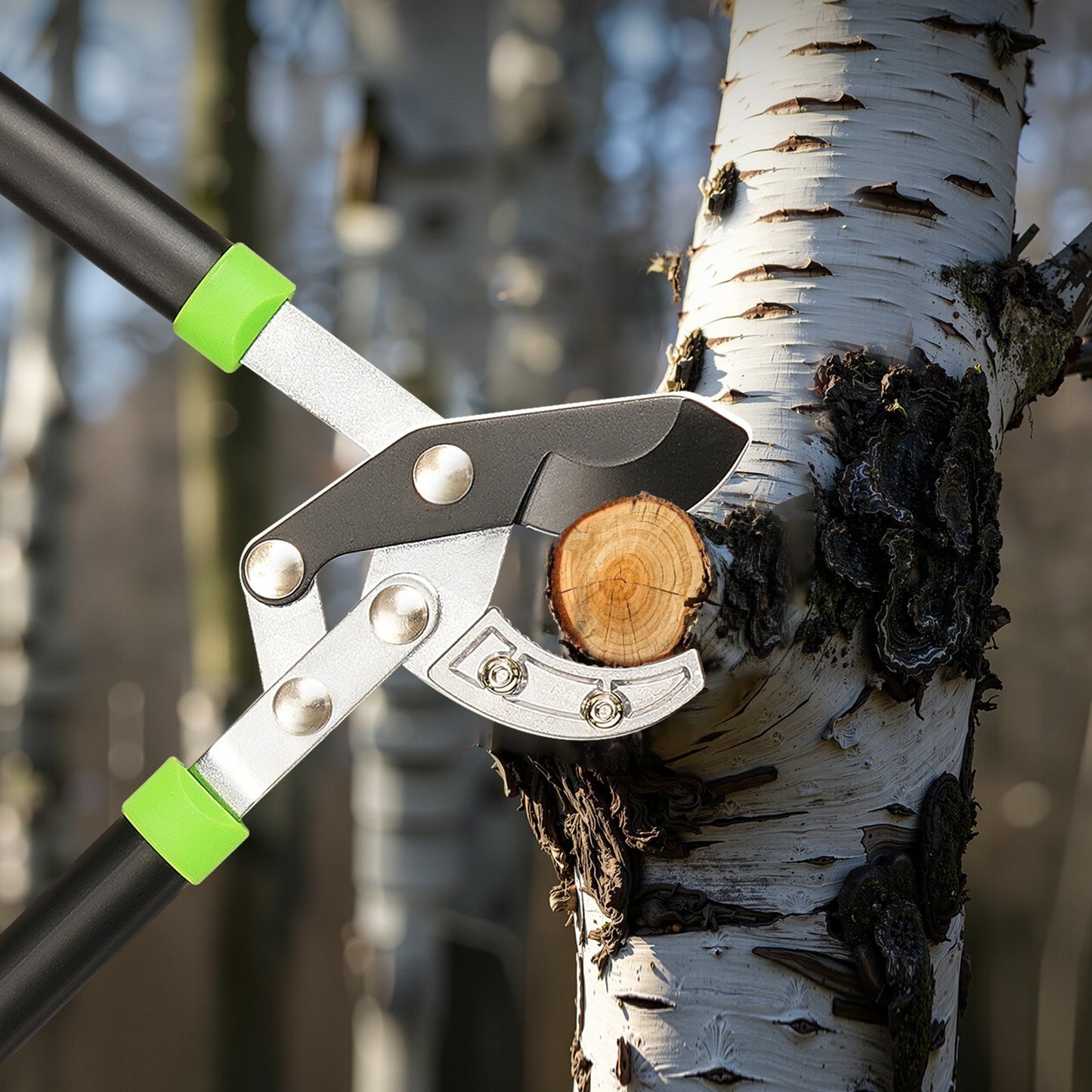 32 Inch Heavy Duty Tree Trimming Loppers - Steel Branch Cutter Up to 2 Inch Diameter