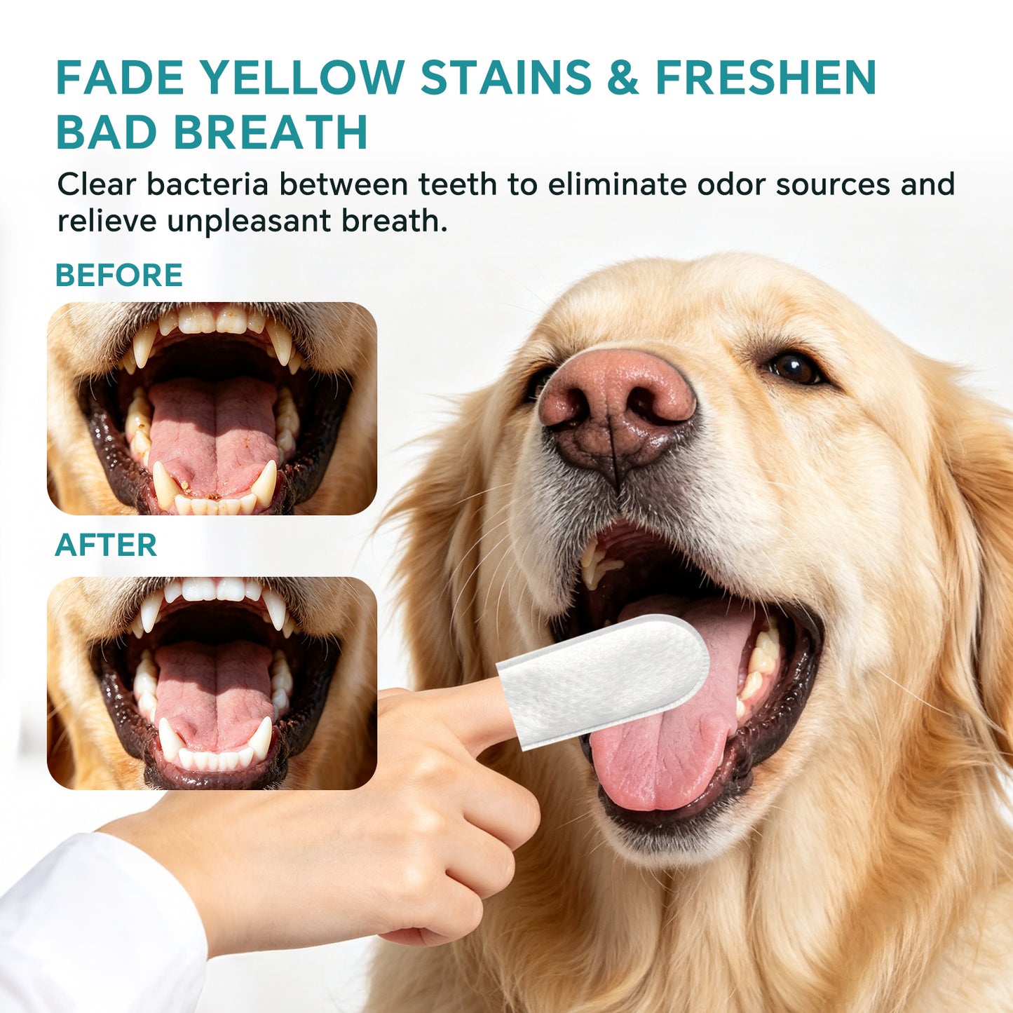 Pet Tooth Cleaning Wet Wipes - 50 Pieces, Self Pickup, Multiple Specifications