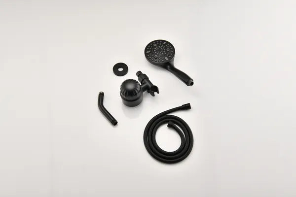 2.0 GPM Handheld Shower Head with Filter & Rain Spray - Universal Fit
