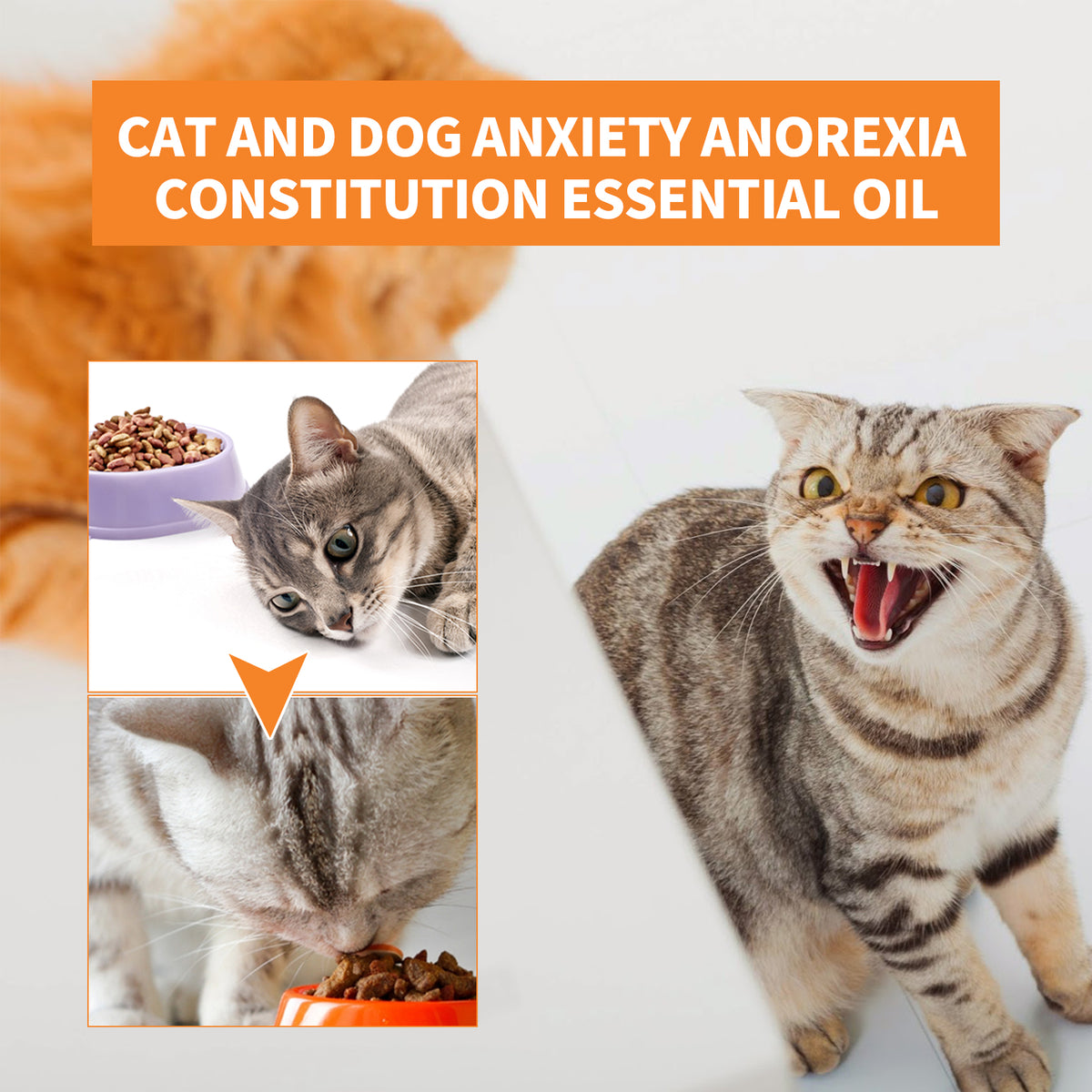 Pet Calming Hemp Oil for Dogs & Cats - Anxiety & Stress Relief Supplement 30ml