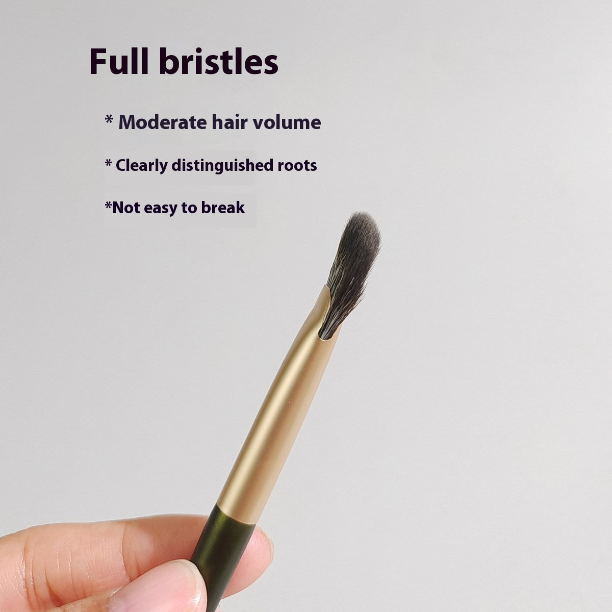 Oblique Fan-Shaped Eye Contour Makeup Brush Set - Soft Synthetic Fiber