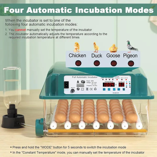Automatic Egg Incubator for Hatching 36 Eggs - Humidity Control & Turning