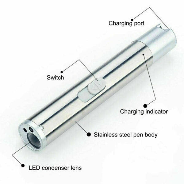 Rechargeable 3-in-1 Pet Laser Toy Flashlight with UV Light & Modes