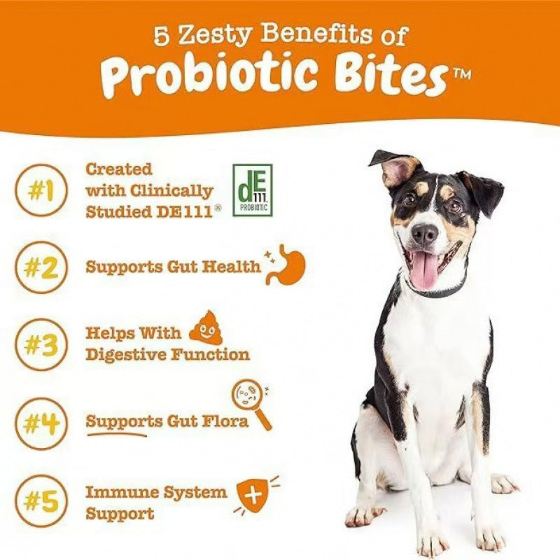 Probiotic Chewable Tablets for Dogs & Cats - 315g