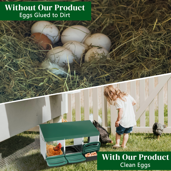 3-Compartment Chicken Nesting Box with Plastic Egg Basket - Green