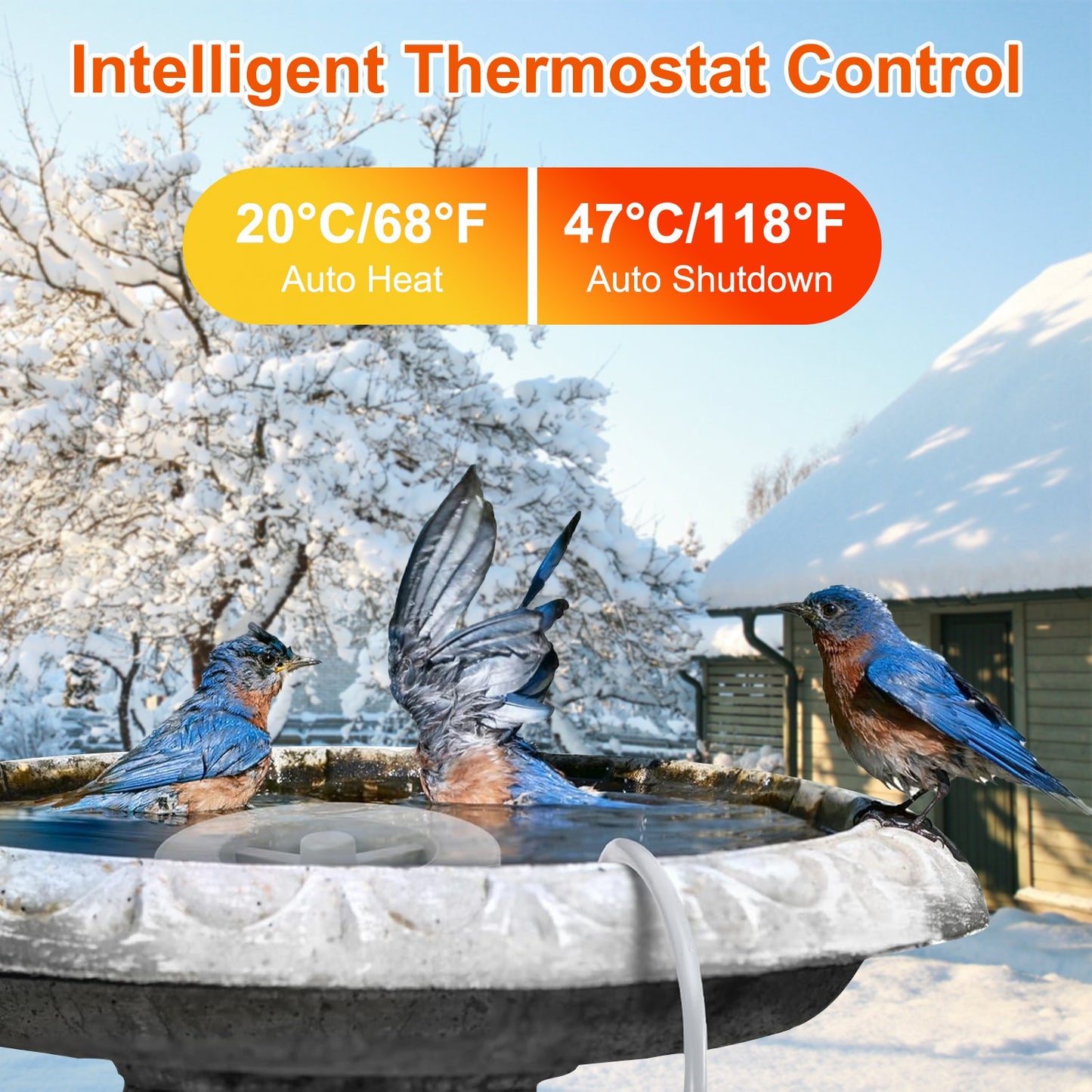 Outdoor Bird Bath Heater with Thermostat - Winter Water Deicer, Waterproof Aluminum
