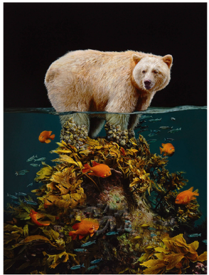 Water Animal Diamond Painting Kit Frog Square Full Cover Craft Set