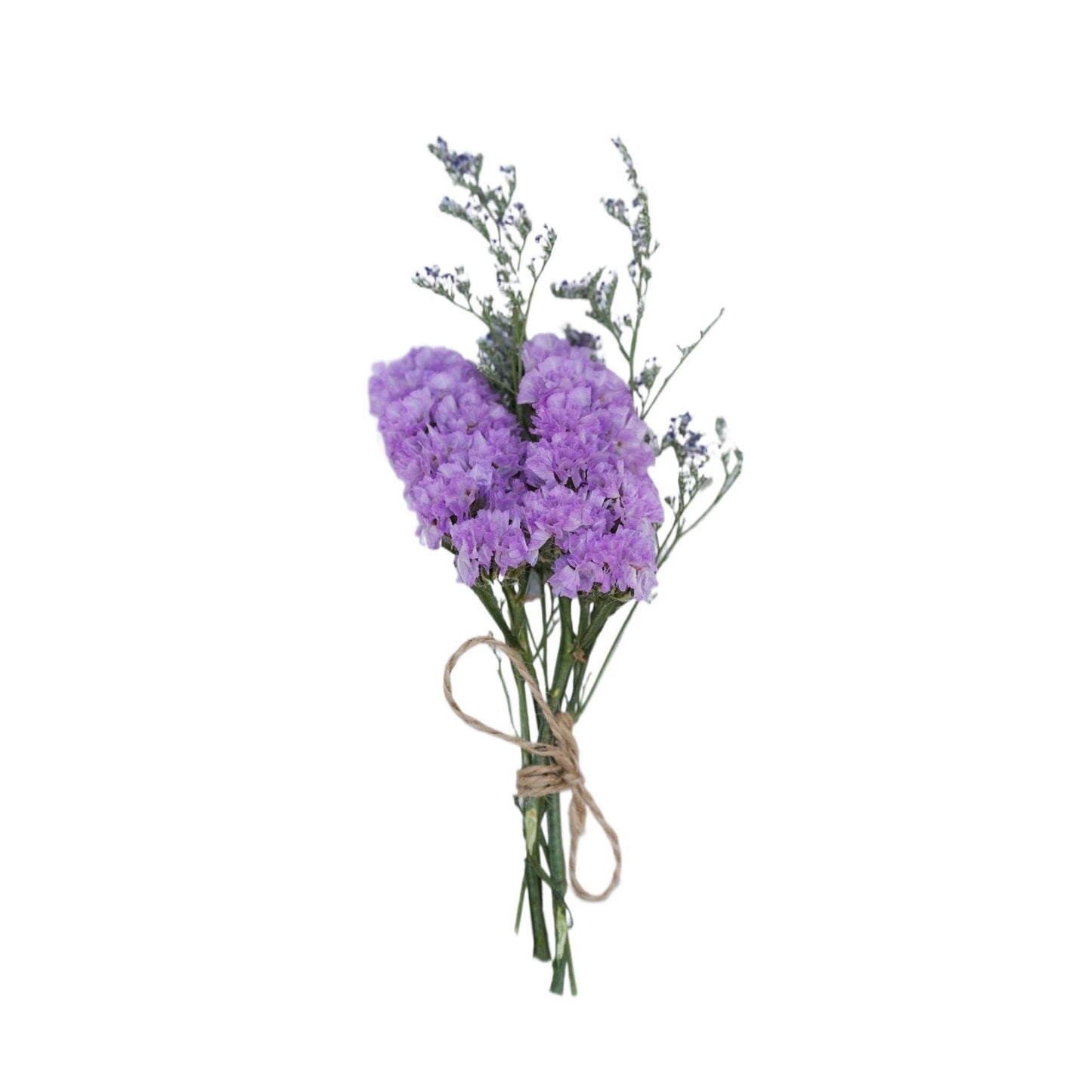 Mini Dried Flower Bouquet Gift for Home Decor and Crafts - Assorted Styles 1-20pcs