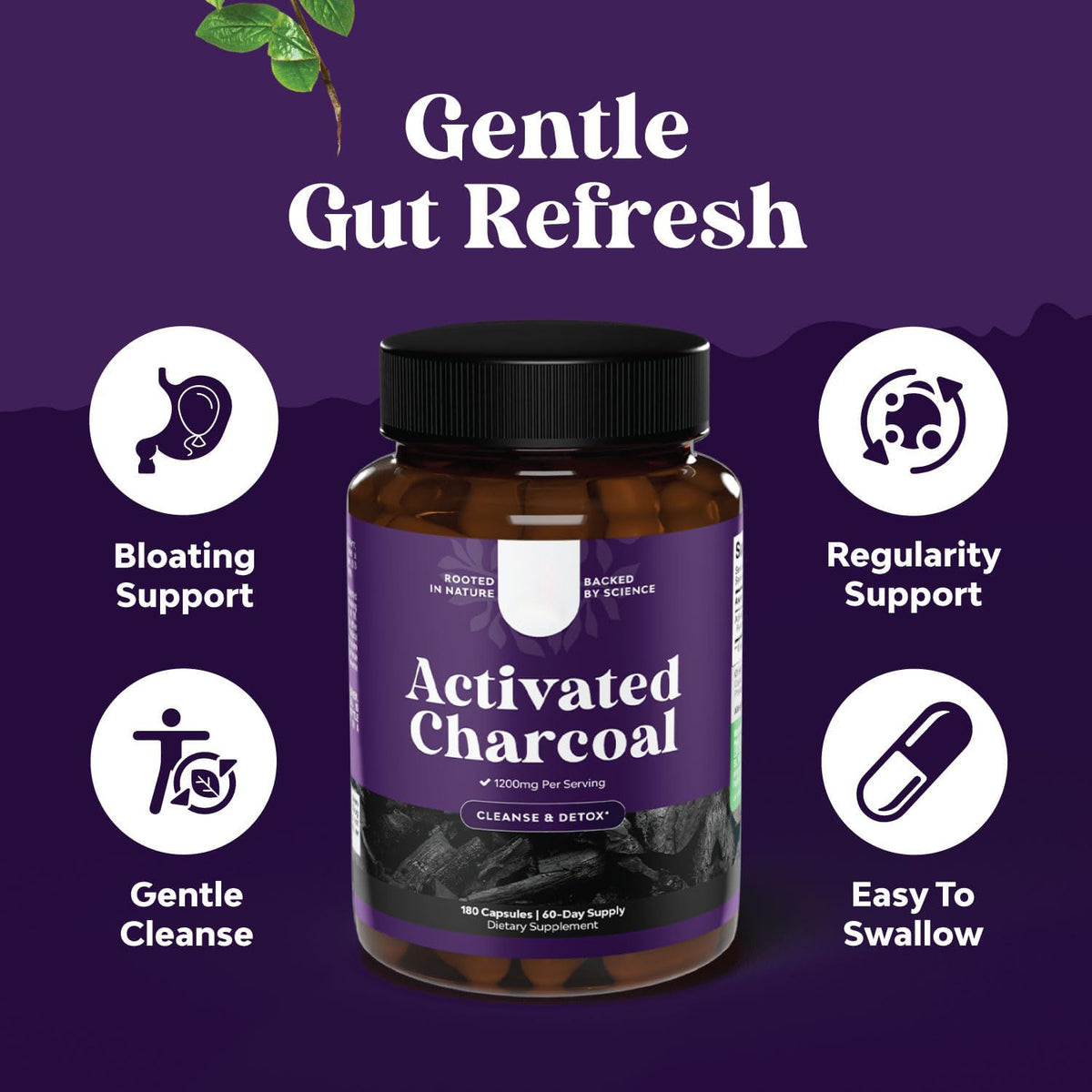 Activated Carbon Intestinal Support Capsules