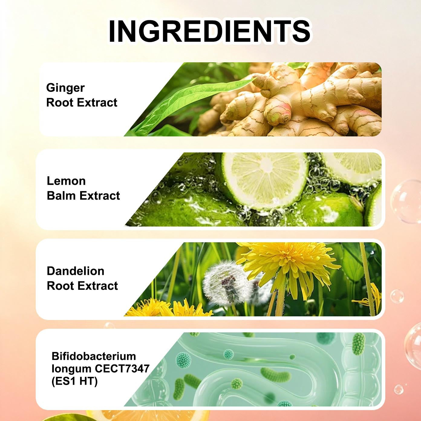 Digestive Gummies - 60 Tablets Dietary Supplement for Digestive Health