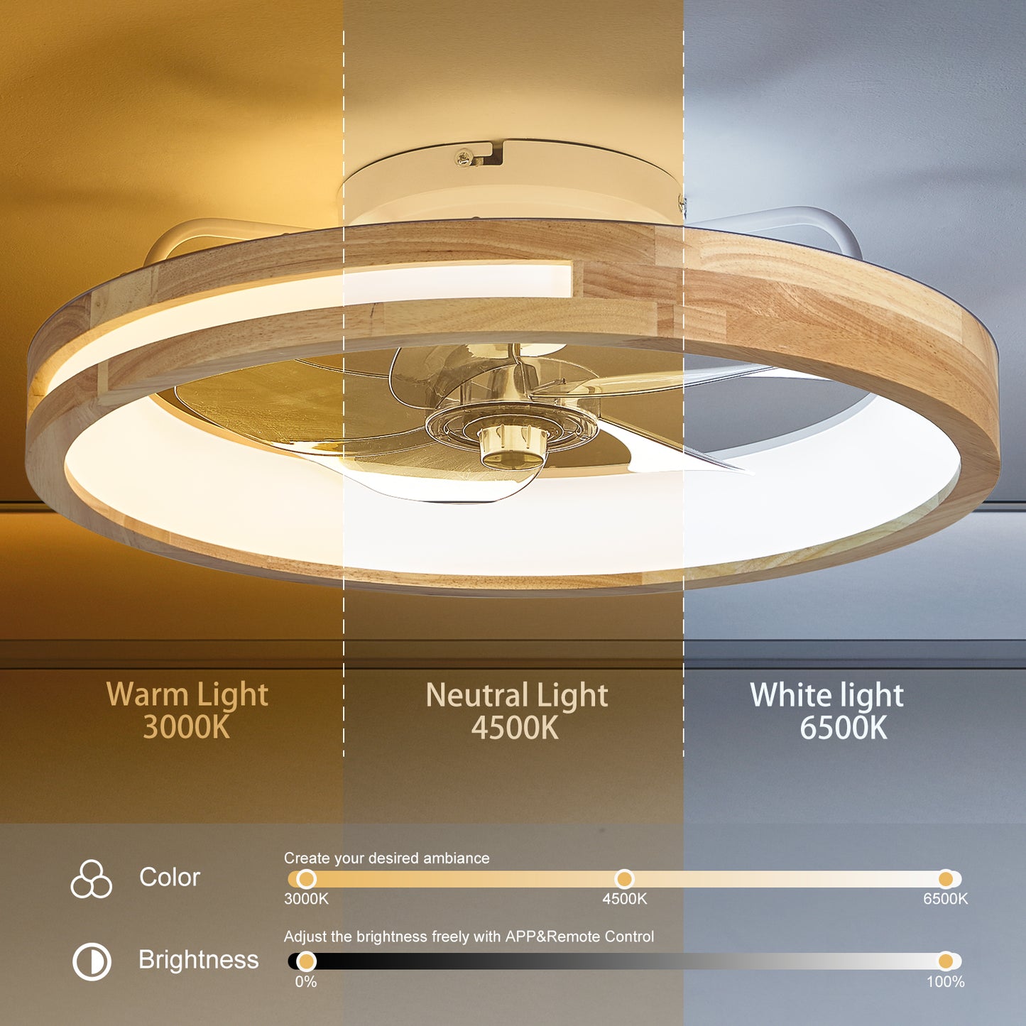 20-Inch Low Profile Ceiling Fan with Lights & Remote Control