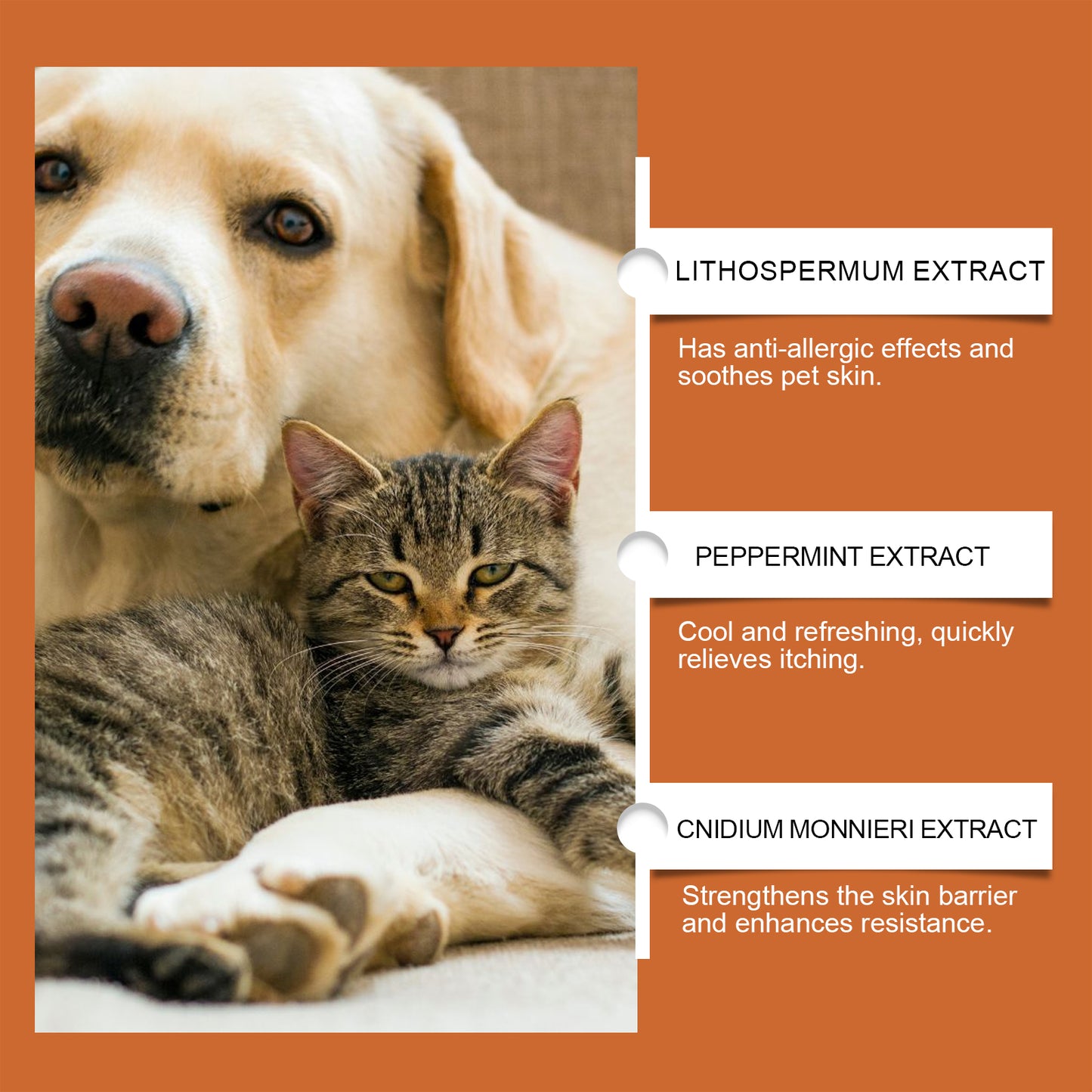 Pet Itch & Allergy Relief Cream for Dogs & Cats - Natural Herbal Skin Soothing 50g