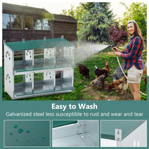 Galvanized Steel Chicken Nesting Box with 6 Compartments - Easy Assembly, Green