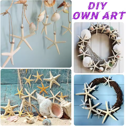 15pcs Hanging Starfish Ornaments - Natural Shell Decor for Christmas