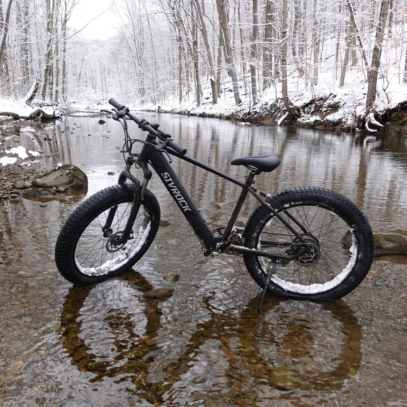 1000W Electric Fat Tire Mountain Bike - 26x4 Inch, Black