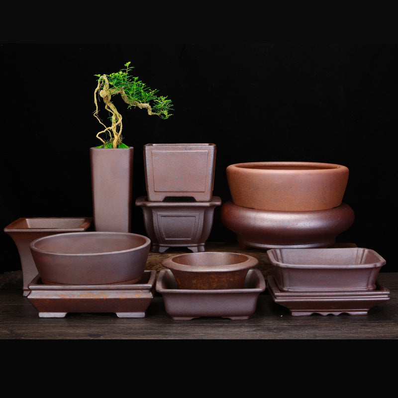 Indoor Decorative Porcelain Plant Pot with Purple Sand for Home & Office