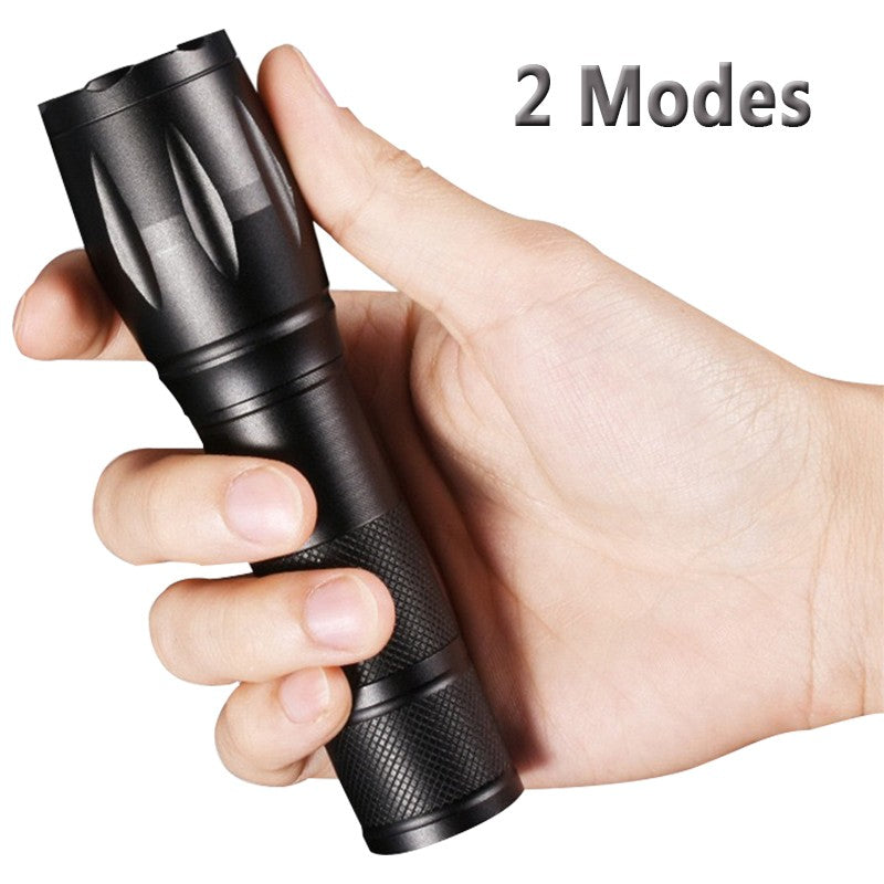 UV Flashlight 2 Pack - 395nm UV & White Light Inspection Torch, Waterproof & Portable