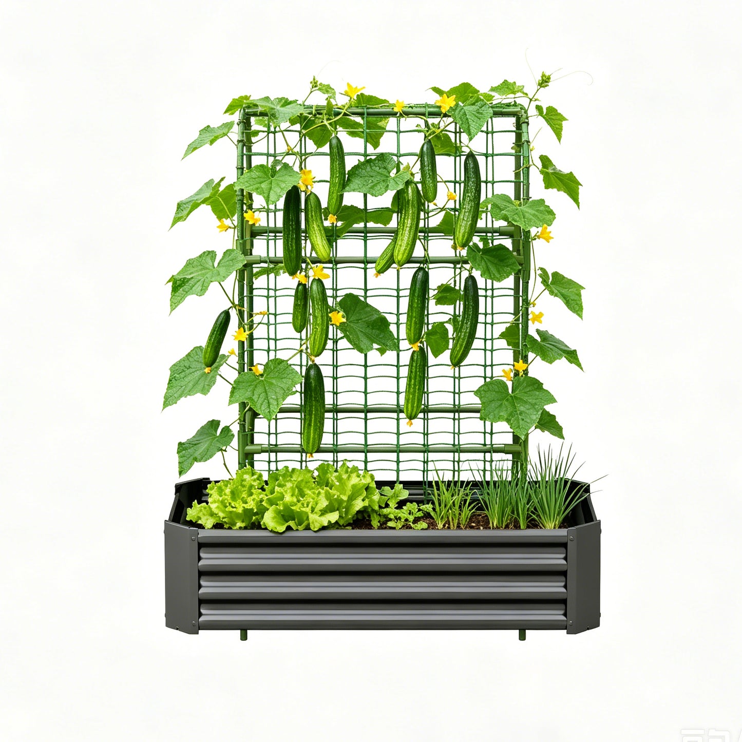 2-in-1 Raised Garden Bed with Trellis - 59" Metal Planter Box