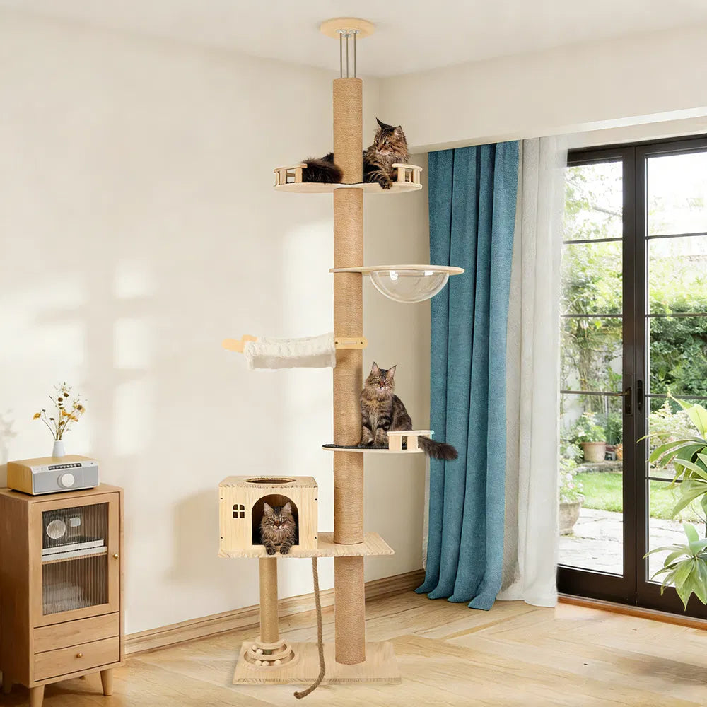 Adjustable Floor to Ceiling Cat Tree with Multi-Level Climbing Tower, Scratching Posts, Cozy Hammock & Transparent Capsule